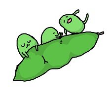 無修正動画サイトの動画数について