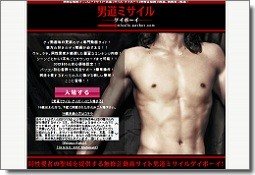 男道ミサイルゲイボーイ