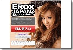 エロックスジャパンＺの総合評価
